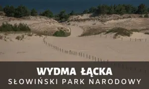 Ile km plażą z Łeby na wydmy? Sprawdź najłatwiejszą trasę!