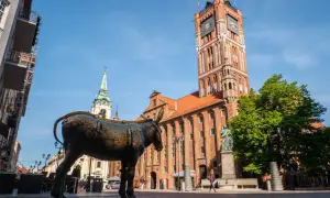 Pomnik osła na Rynku Staromiejskim w Toruniu, mieście na trasie Toruń-Świecie. W tle Ratusz Staromiejski i kościół.