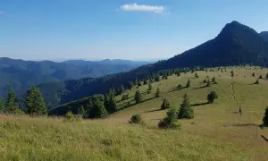 Gorce szczyty w słońcu, zielone zbocza i samotny turysta na ścieżce.