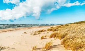 Gdynia gdzie zjeść - odkryj ukryte perełki gastronomiczne