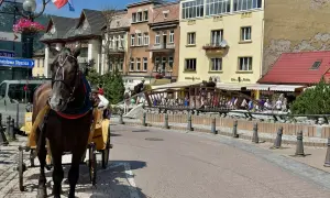 Koń w zaprzęgu na Krupówkach w Zakopanem. Ta malownicza trasa oferuje widok na góralskie budynki i mostek pełen turystów.
