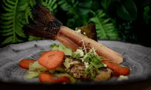Gdzie zjeść w Muszynie? Odkryj najlepsze restauracje z lokalnym smakiem