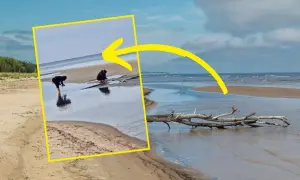 Dwie osoby badają płytką wodę na piaszczystej plaży. Morze Bałtyckie jest częścią oceanu, a ten widok pokazuje jego spokojne oblicze.