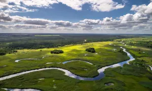 Malownicze meandry rzeki wiją się przez zielone bagna i lasy. To krajobraz Biebrzańskiego Parku Narodowego, największego parku narodowego w Polsce, gdzie natura wciąż króluje.