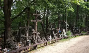 Góra krzyży w Milejczycach, las pełen drewnianych symboli wiary.