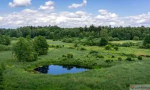 Atrakcje Podlasia: Odkryj nieznane skarby i piękno regionu