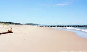 Piękna, piaszczysta plaża w Rowach, z drewnianymi falochronami i łagodnymi falami. Idealne miejsce na relaks.