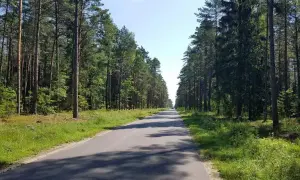 Wielbark atrakcje – odkryj nieznane skarby i ciekawe miejsca