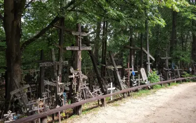 Góra krzyży w Milejczycach, las pełen drewnianych symboli wiary.