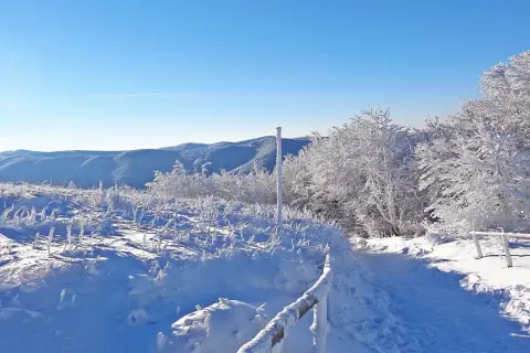 Zimowe ferie podkarpackie. Śnieżny szlak wśród oszronionych drzew i krzewów, z widokiem na ośnieżone góry.
