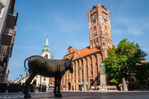 Pomnik osła na Rynku Staromiejskim w Toruniu, mieście na trasie Toruń-Świecie. W tle Ratusz Staromiejski i kościół.
