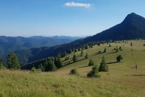 Gorce szczyty w słońcu, zielone zbocza i samotny turysta na ścieżce.