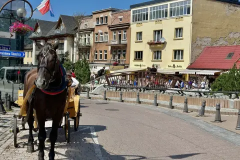 Koń w zaprzęgu na Krupówkach w Zakopanem. Ta malownicza trasa oferuje widok na góralskie budynki i mostek pełen turystów.