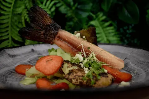 Gdzie zjeść w Muszynie? Odkryj najlepsze restauracje z lokalnym smakiem