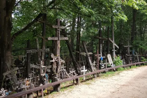 Góra krzyży w Milejczycach, las pełen drewnianych symboli wiary.