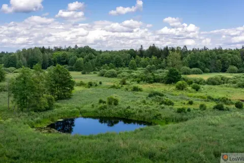 Atrakcje Podlasia: Odkryj nieznane skarby i piękno regionu