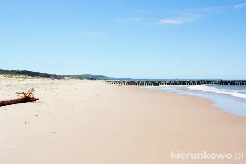Piękna, piaszczysta plaża w Rowach, z drewnianymi falochronami i łagodnymi falami. Idealne miejsce na relaks.