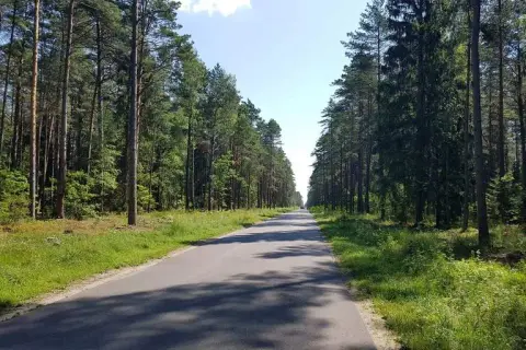 Wielbark atrakcje – odkryj nieznane skarby i ciekawe miejsca