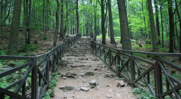 Kamieniste schody wiodące przez las w Górach Świętokrzyskich, otoczone drewnianą balustradą.