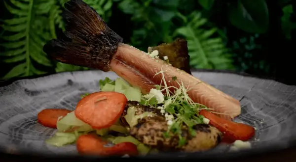 Gdzie zjeść w Muszynie? Odkryj najlepsze restauracje z lokalnym smakiem