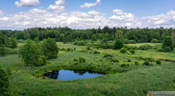 Atrakcje Podlasia: Odkryj nieznane skarby i piękno regionu
