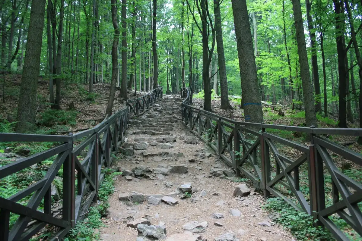 Kamieniste schody wiodące przez las w Górach Świętokrzyskich, otoczone drewnianą balustradą.