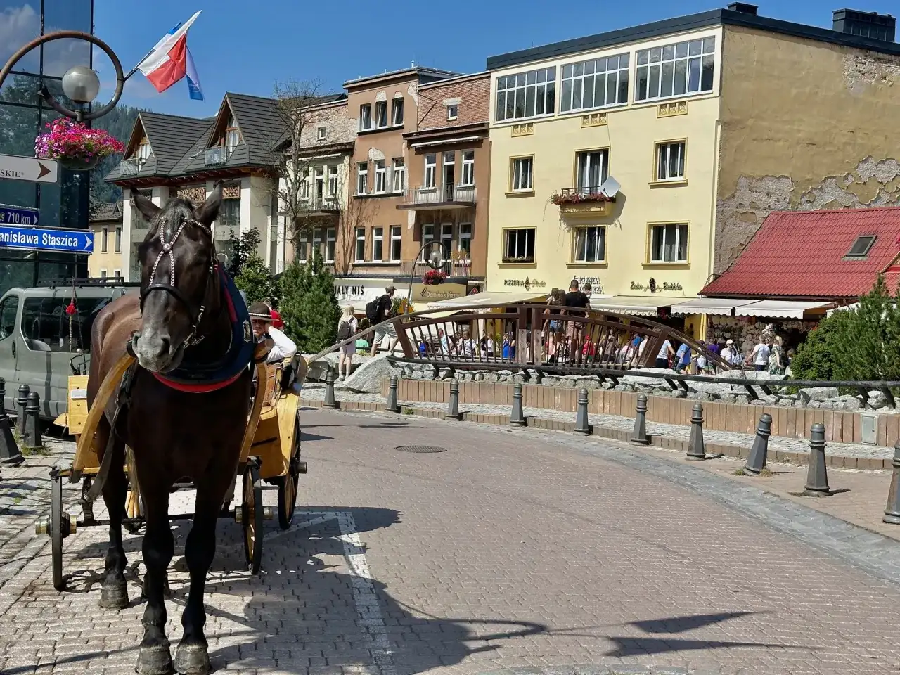 Koń w zaprzęgu na Krupówkach w Zakopanem. Ta malownicza trasa oferuje widok na góralskie budynki i mostek pełen turystów.