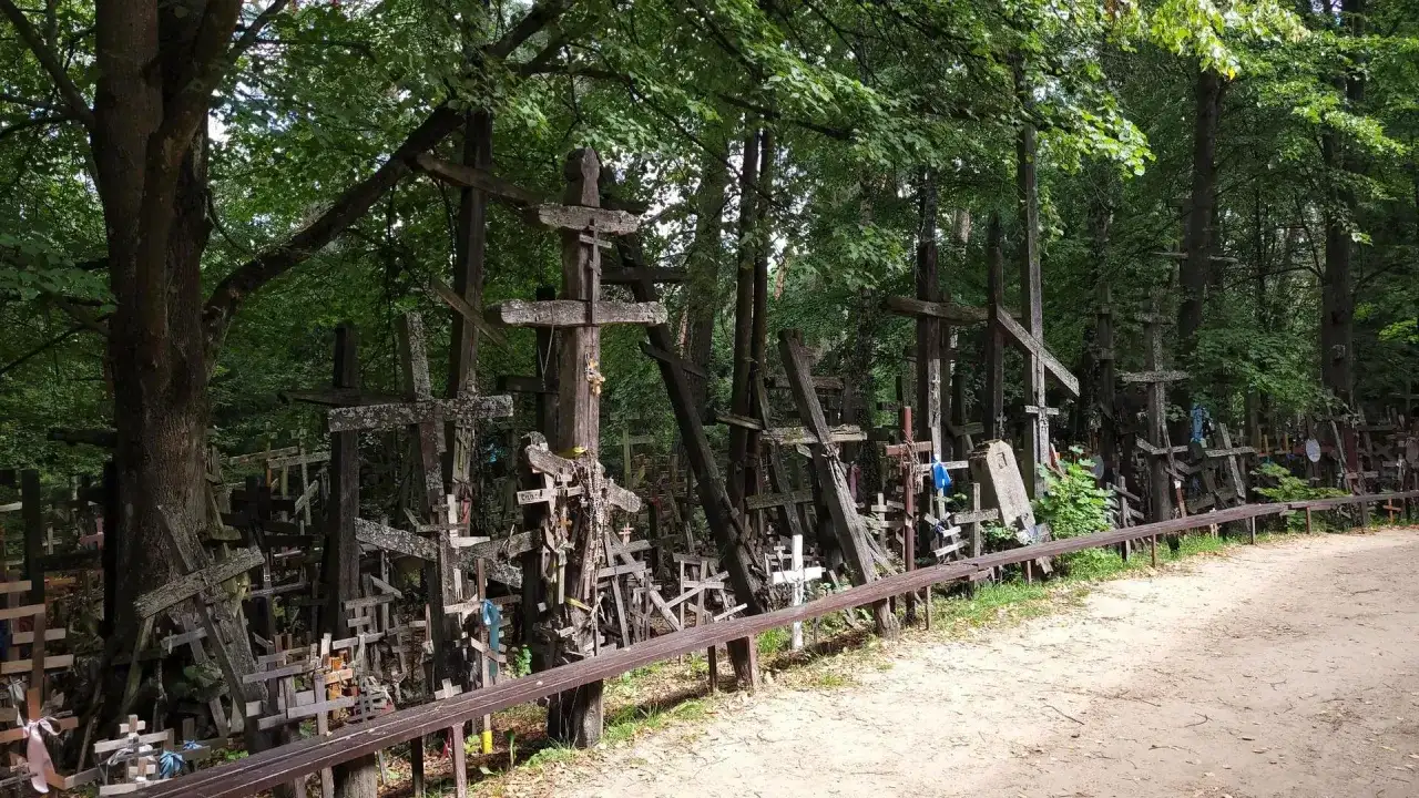 Góra krzyży w Milejczycach, las pełen drewnianych symboli wiary.