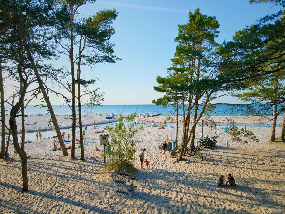Słoneczna plaża w Dąbkach, z piaszczystym dojazdem PKP. Ludzie odpoczywają, bawią się nad wodą, a drzewa rzucają cień.