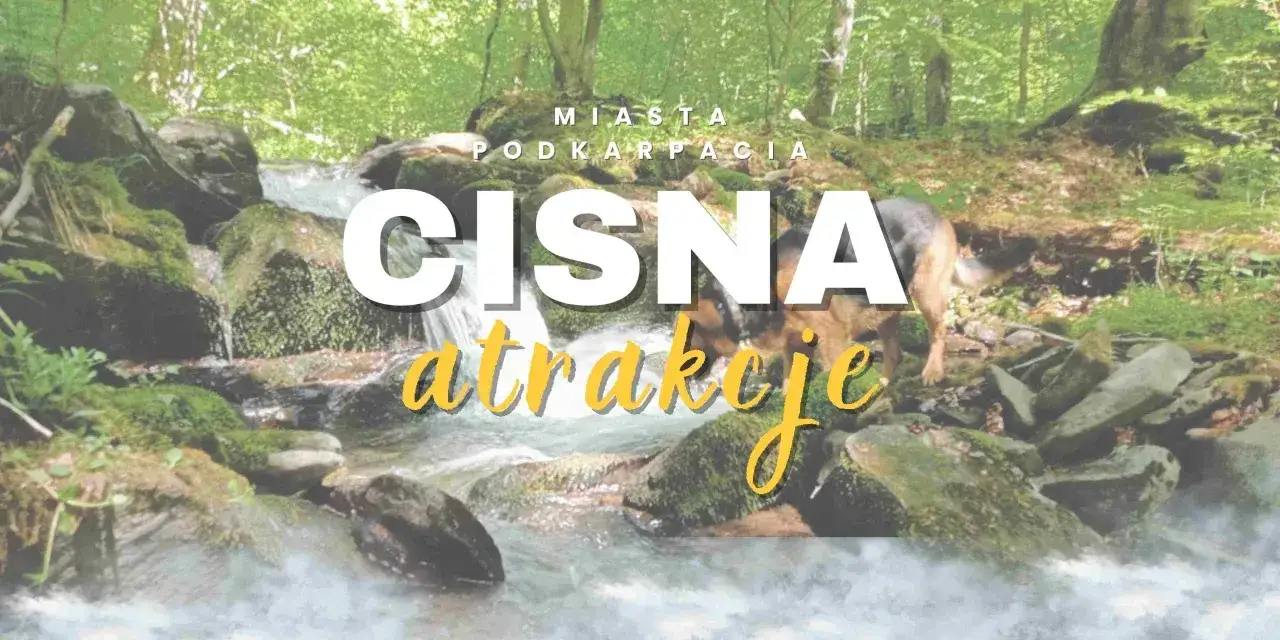 Zdjęcie Najlepsze atrakcje w Stargardzie, które musisz zobaczyć podczas wizyty