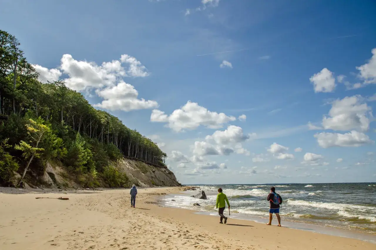 Spacer po piaszczystej plaży w Wiśle, z lasem na klifie i falującym morzem.
