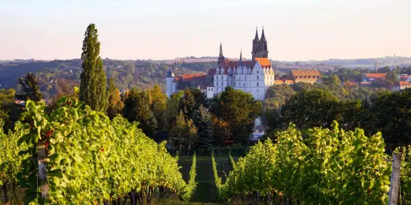 Najlepsze atrakcje w Miśni, które musisz zobaczyć podczas wizyty