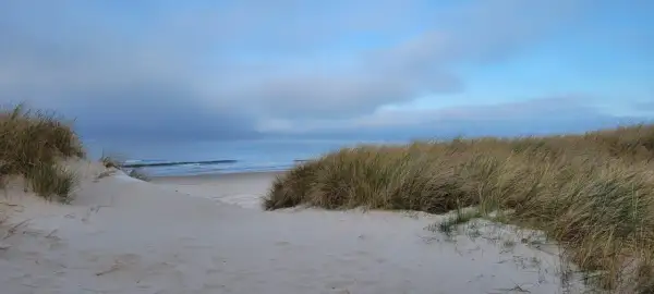 Piaszczyste wydmy porośnięte trawą na plaży w Swarzewie. Spokojne morze i błękitne niebo z chmurami.