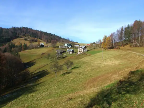 Malownicze wzgórza i domy w Krynicy-Zdroju. Takie to Beskidy, jesienią pełne kolorów.