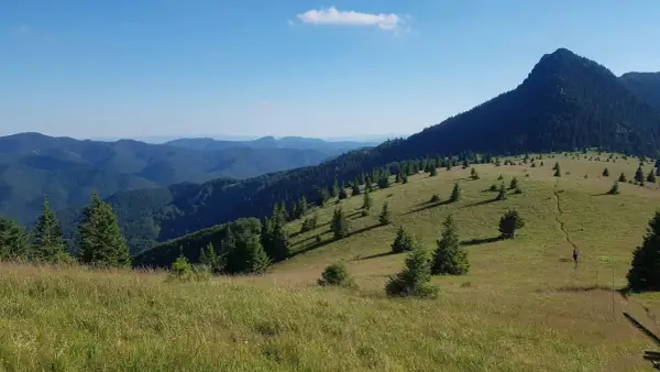 Gorce szczyty w słońcu, zielone zbocza i samotny turysta na ścieżce.