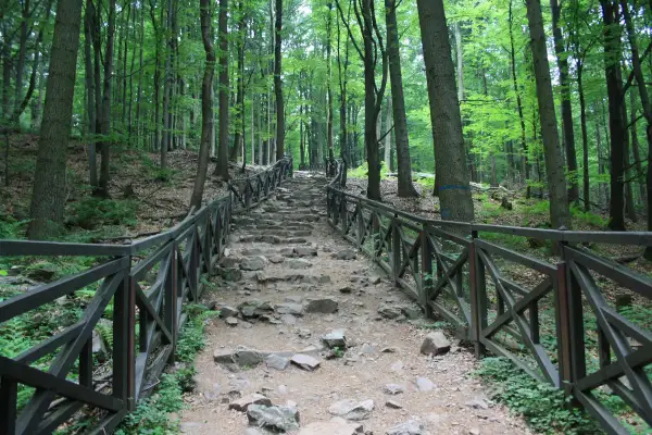 Kamieniste schody wiodące przez las w Górach Świętokrzyskich, otoczone drewnianą balustradą.
