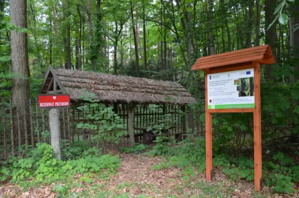 W lesie, przy wejściu do rezerwatu cisy staropolskie, stoi drewniana wiata i tablica informacyjna.
