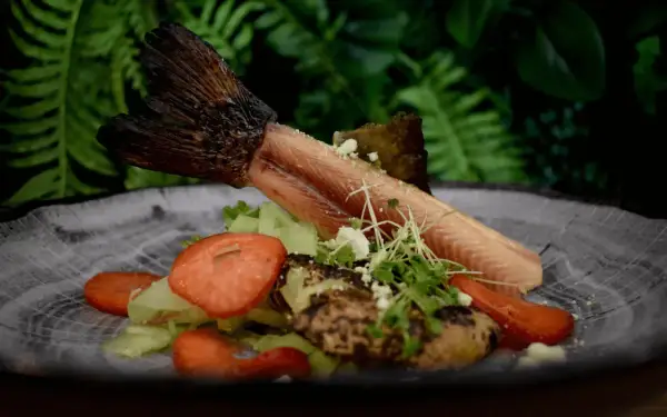 Gdzie zjeść w Muszynie? Odkryj najlepsze restauracje z lokalnym smakiem