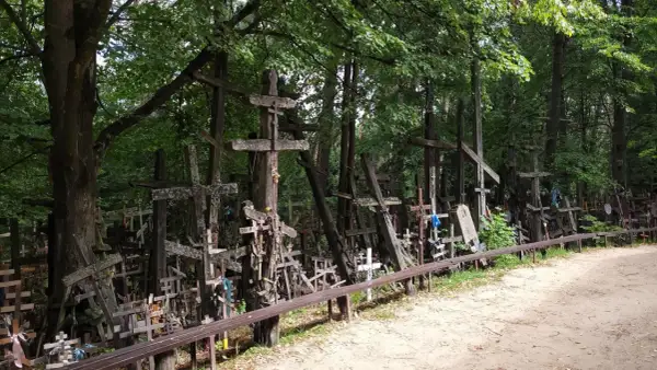 Góra krzyży w Milejczycach, las pełen drewnianych symboli wiary.