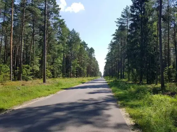 Wielbark atrakcje – odkryj nieznane skarby i ciekawe miejsca