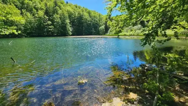 Spokojne jeziora w Bieszczadach, otoczone bujną zielenią lasów, odbijają błękit nieba. Słońce tańczy na falach, tworząc iskrzące refleksy.